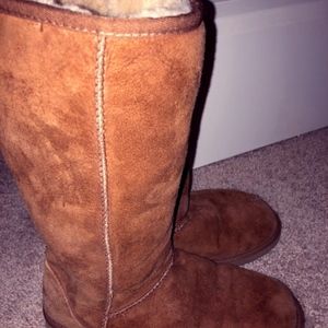 Classic Tall Chestnut Ugg Boots
